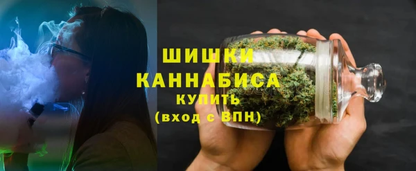 твердый Корсаков