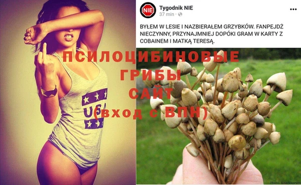 гидра Нефтегорск
