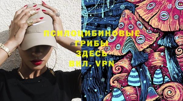 гидра Нея